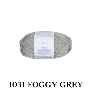 1031 foggy grey