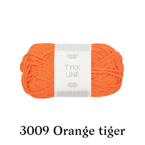 31223009_orange-tiger_300dpi_noste-PhotoRoom